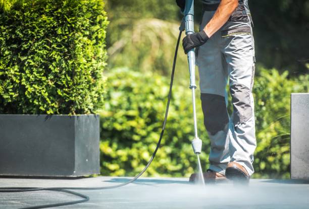 Best Sign and Awning Cleaning  in Dexter, NM