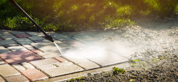 Best Dumpster Area Cleaning  in Dexter, NM